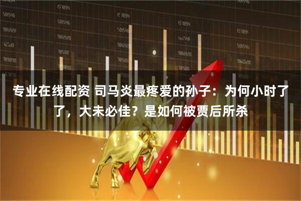 专业在线配资 司马炎最疼爱的孙子：为何小时了了，大未必佳？是如何被贾后所杀