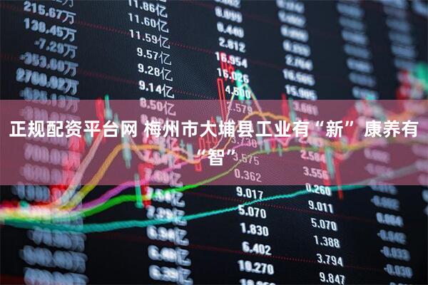 正规配资平台网 梅州市大埔县工业有“新” 康养有“智”