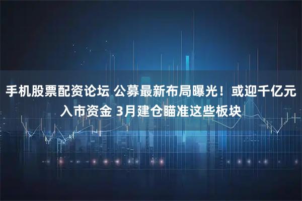 手机股票配资论坛 公募最新布局曝光！或迎千亿元入市资金 3月建仓瞄准这些板块